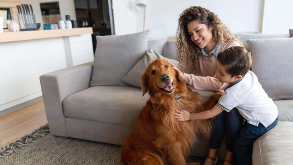Nationwide Antivirus Upgrade for Thrive Pet Care Pet_parent