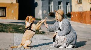 Nationwide Antivirus Upgrade for Thrive Pet Care reliability
